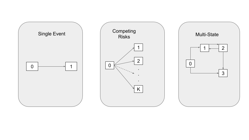 Schematic illustration of event history analysis.